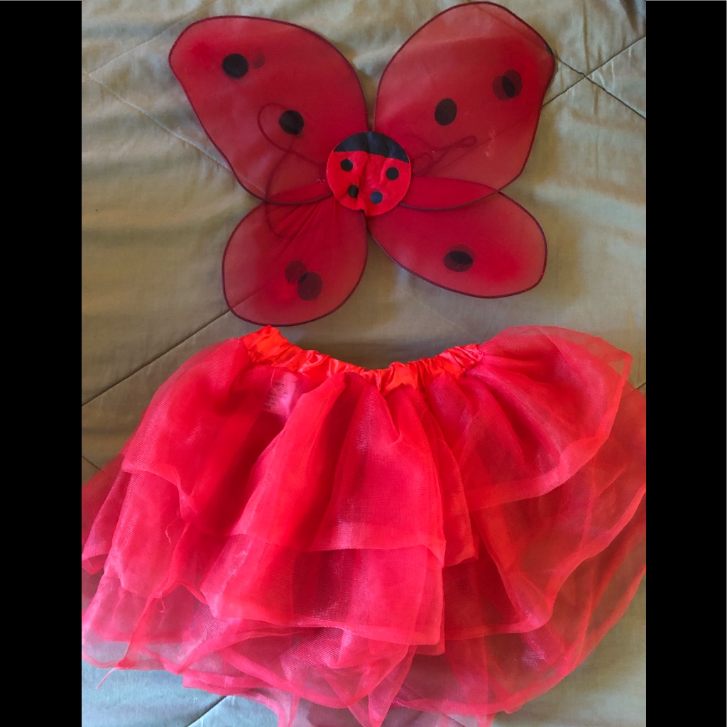 Lady Bug WingsTutu